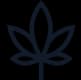 Cannabis Delivery App Development