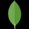 Mongodb