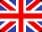 Flag icon